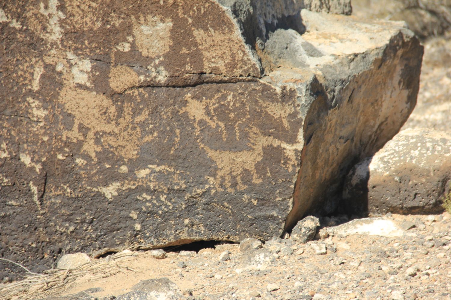 Petroglyph National Monument 